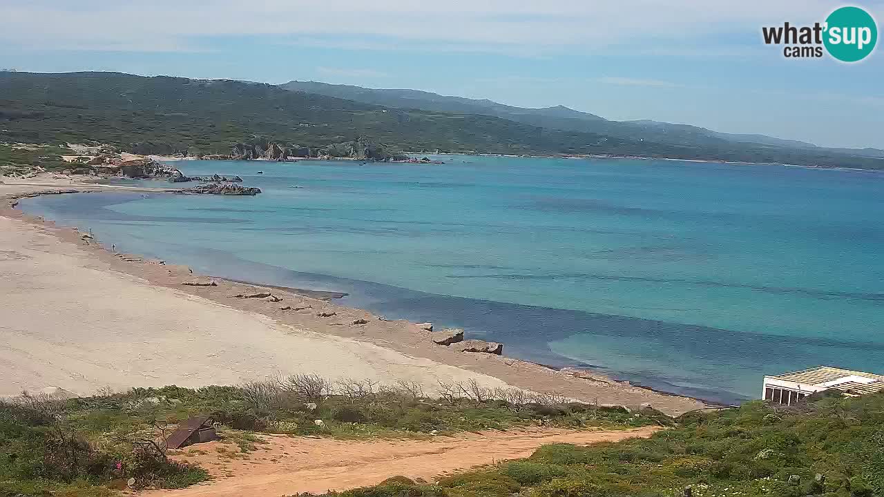 Spiaggia La Liccia webcam Rena Majore – Santa Teresa Gallura livecam Sardegna