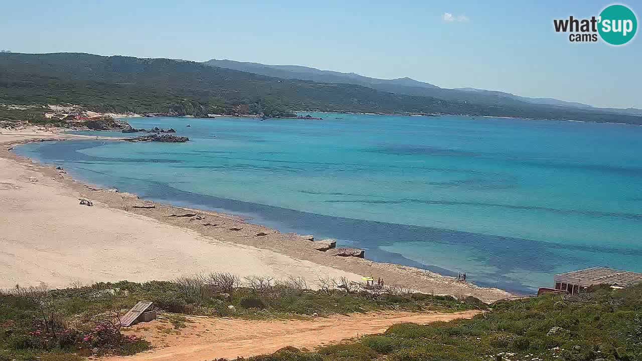 Plaža La Liccia v živo Rena Majore – Santa Teresa Gallura spletna kamera Sardinija