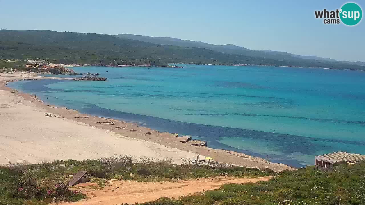 Plaža La Liccia v živo Rena Majore – Santa Teresa Gallura spletna kamera Sardinija