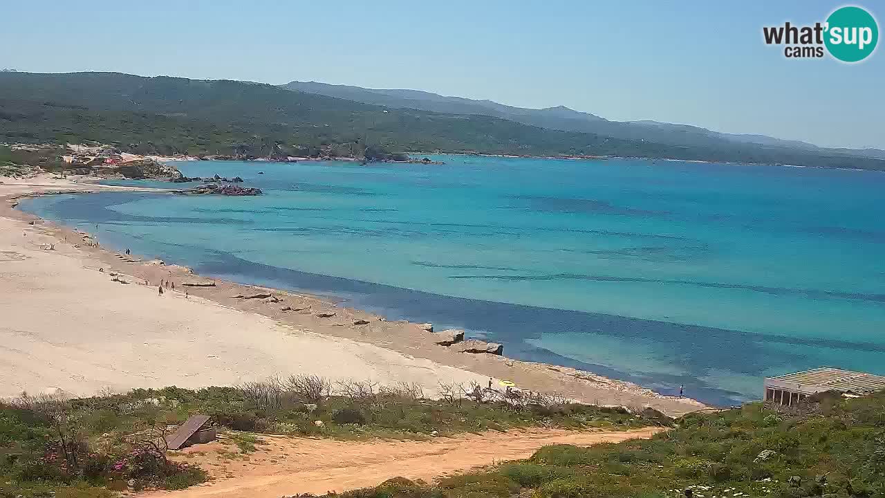 Plaža La Liccia v živo Rena Majore – Santa Teresa Gallura spletna kamera Sardinija