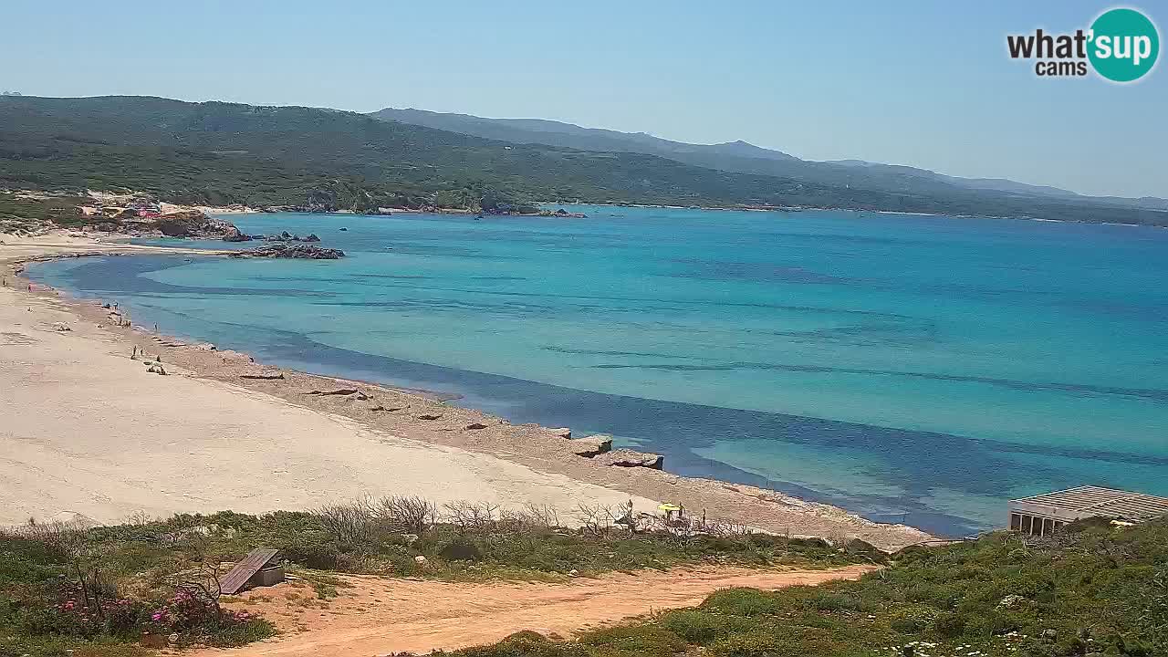 Plaža La Liccia u živo Rena Majore – Santa Teresa Gallura web kamera Sardinija