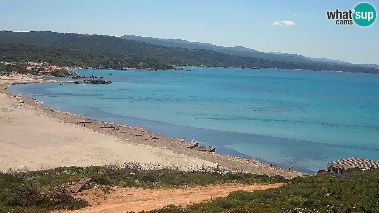 Plaža La Liccia v živo Rena Majore – Santa Teresa Gallura spletna kamera Sardinija