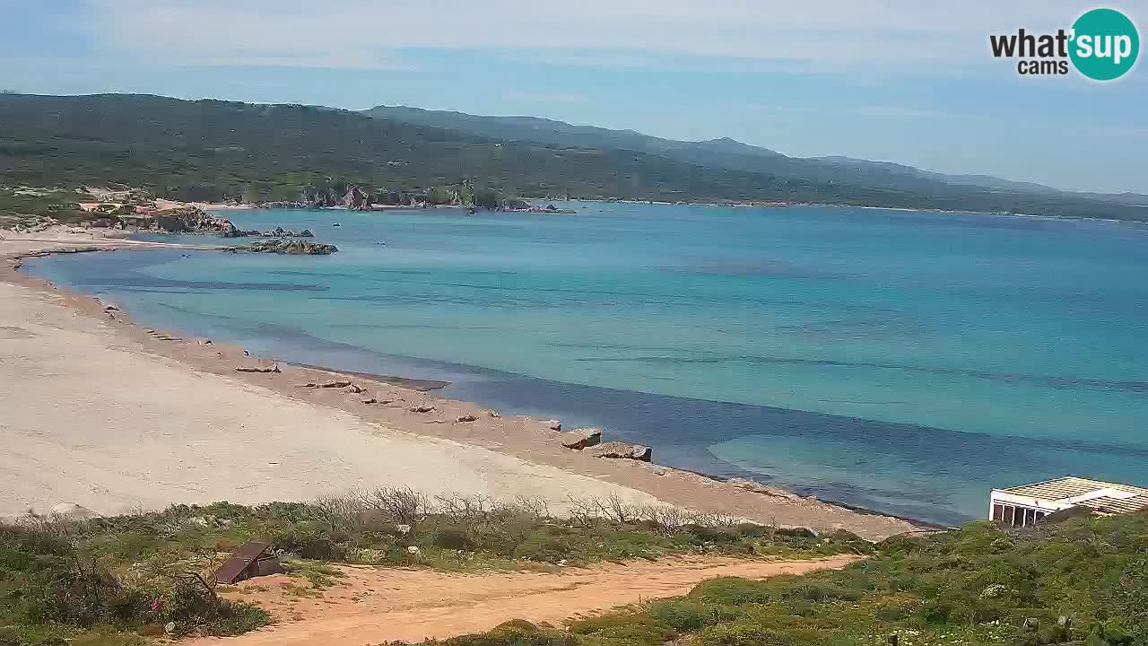 Spiaggia La Liccia webcam Rena Majore – Santa Teresa Gallura livecam Sardegna