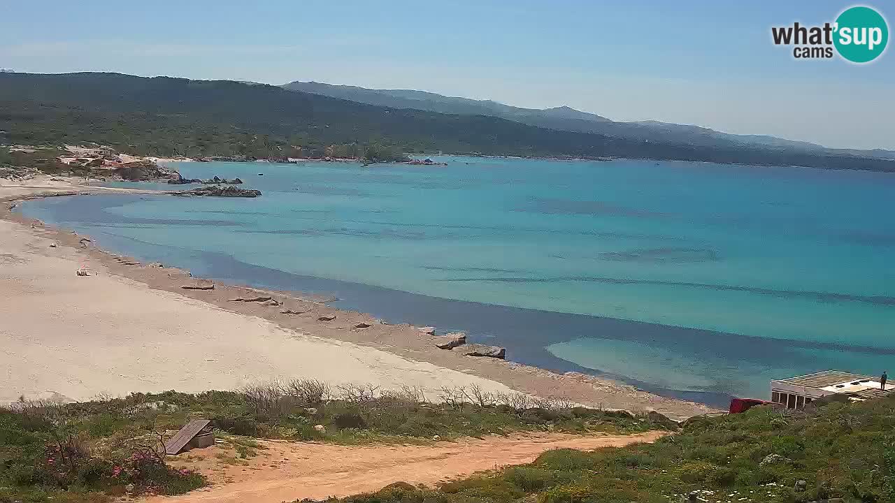 Plaža La Liccia u živo Rena Majore – Santa Teresa Gallura web kamera Sardinija