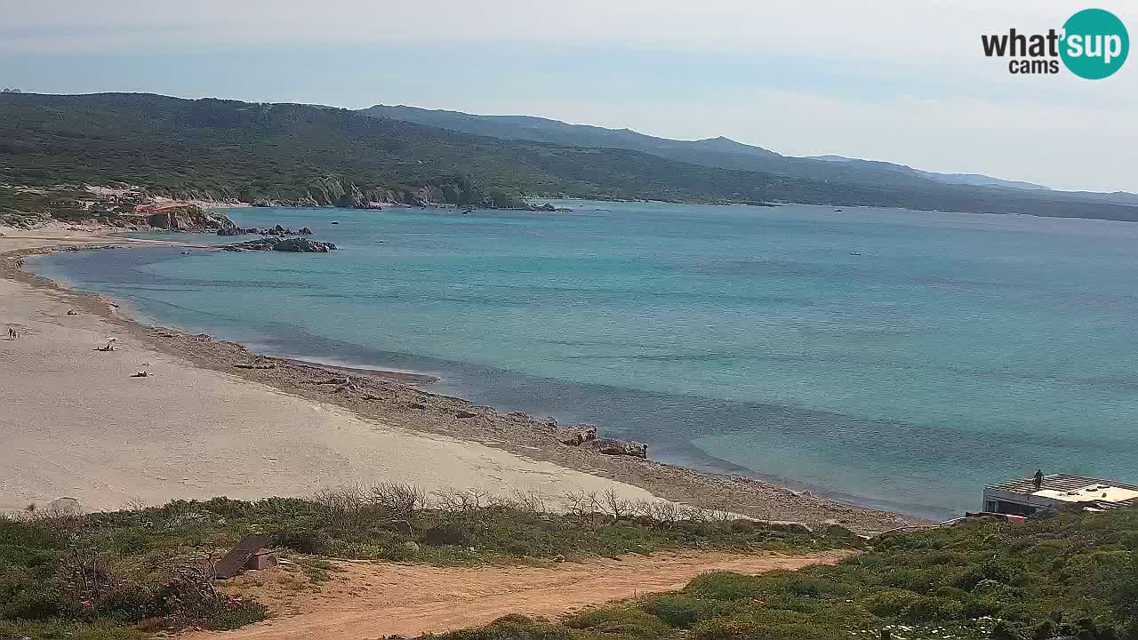 Plaža La Liccia v živo Rena Majore – Santa Teresa Gallura spletna kamera Sardinija