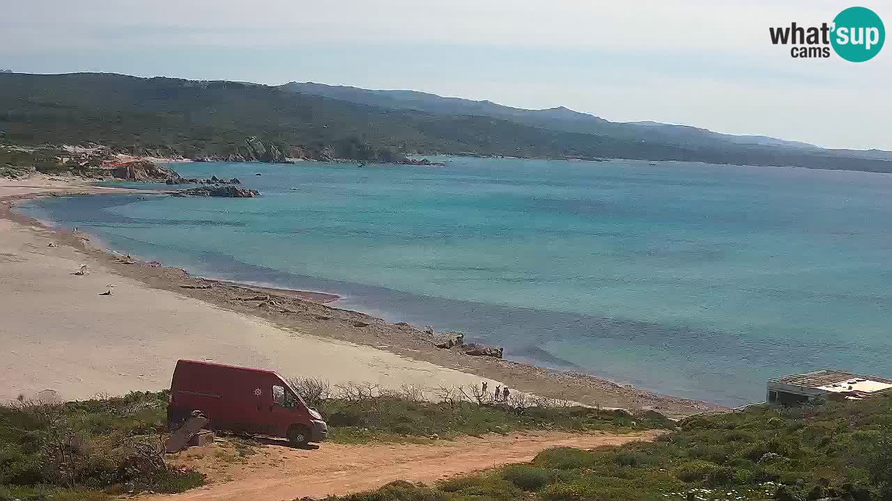 Plaža La Liccia v živo Rena Majore – Santa Teresa Gallura spletna kamera Sardinija