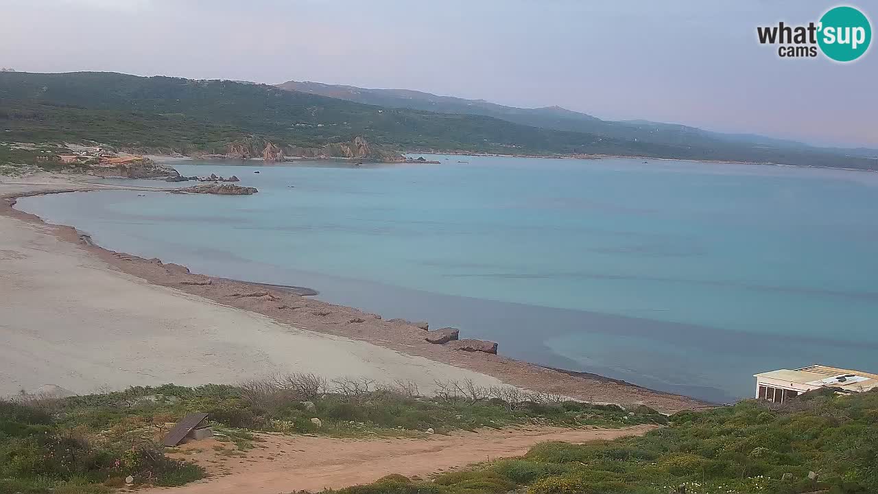 Plaža La Liccia v živo Rena Majore – Santa Teresa Gallura spletna kamera Sardinija