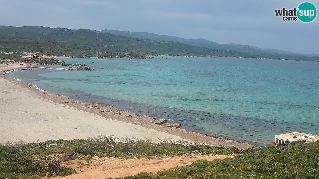 La Liccia beach webcam Rena Majore – Santa Teresa Gallura livecam Sardinia