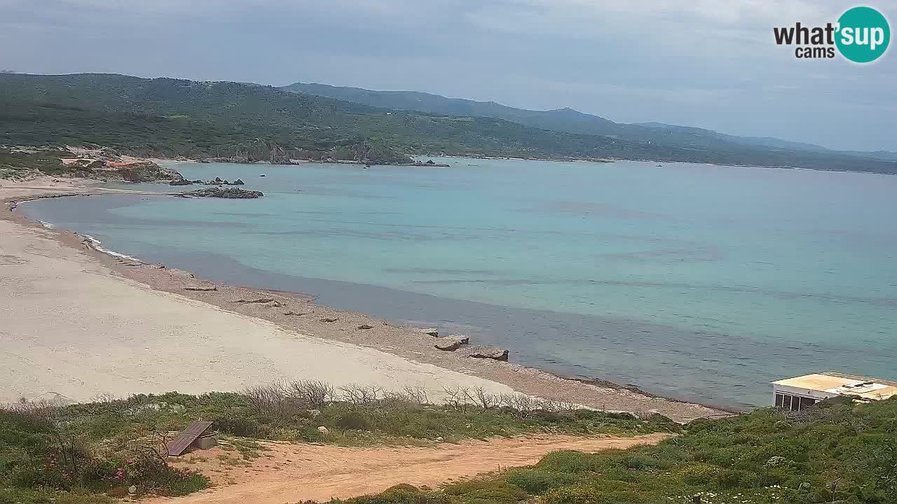 Spiaggia La Liccia webcam Rena Majore – Santa Teresa Gallura livecam Sardegna