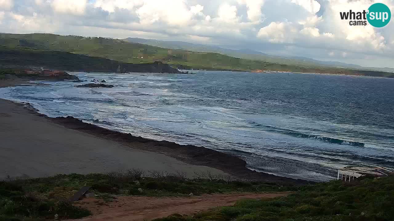 Plaža La Liccia v živo Rena Majore – Santa Teresa Gallura spletna kamera Sardinija