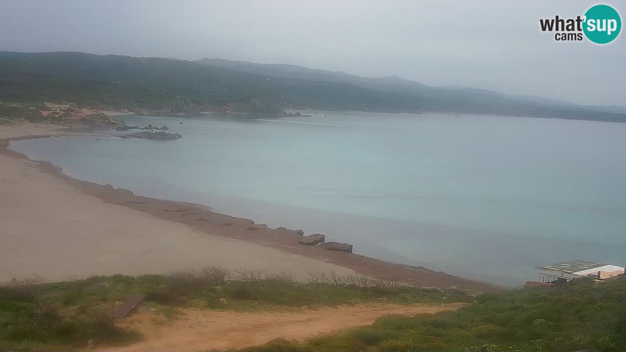 Spiaggia La Liccia webcam Rena Majore – Santa Teresa Gallura livecam Sardegna