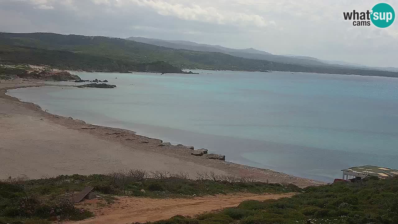 La Liccia playa webcam Rena Majore – Santa Teresa Gallura en vivo Cerdeña