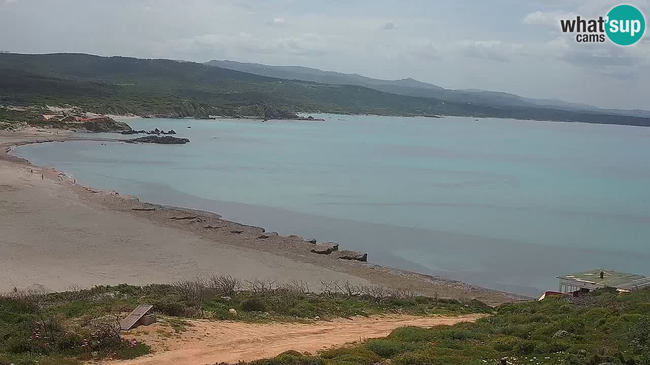 Spiaggia La Liccia webcam Rena Majore – Santa Teresa Gallura livecam Sardegna