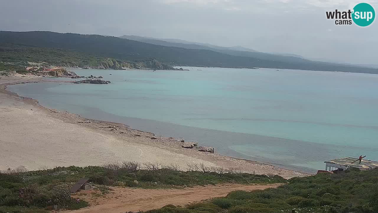 La Liccia playa webcam Rena Majore – Santa Teresa Gallura en vivo Cerdeña