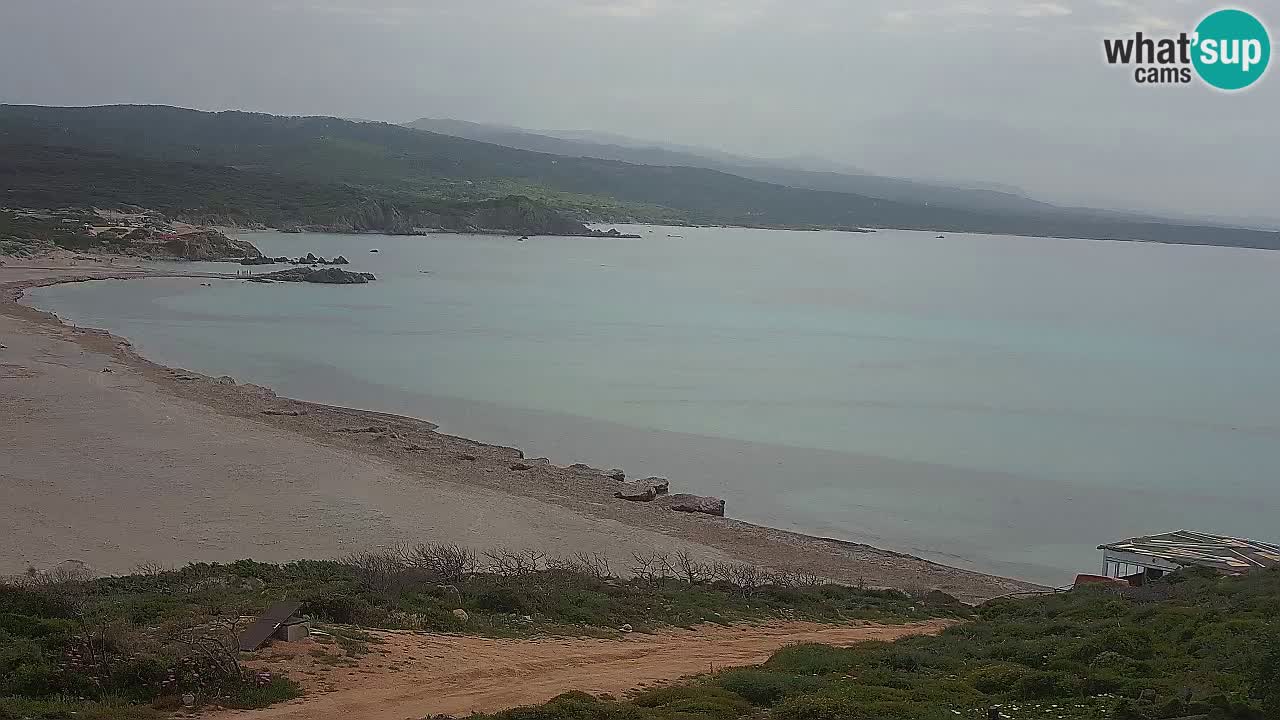 Plaža La Liccia v živo Rena Majore – Santa Teresa Gallura spletna kamera Sardinija