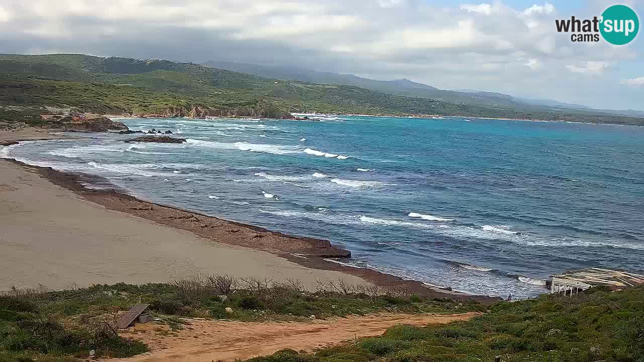 Plaža La Liccia v živo Rena Majore – Santa Teresa Gallura spletna kamera Sardinija