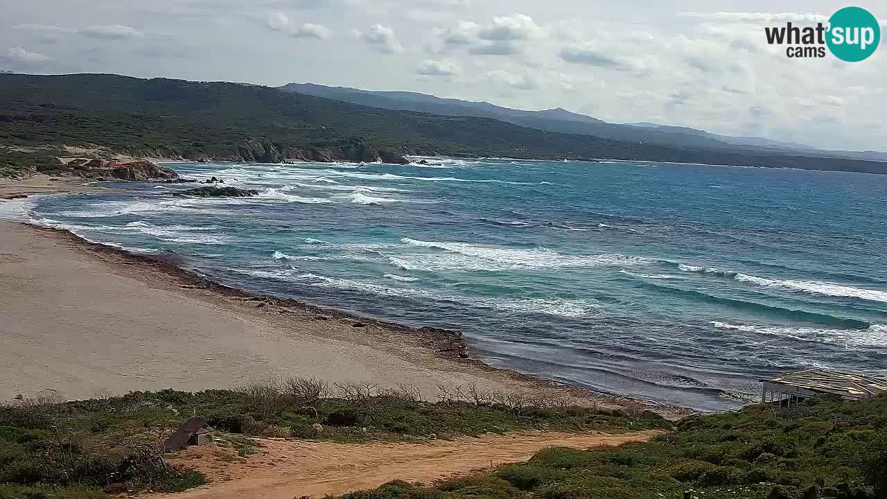 La Liccia playa webcam Rena Majore – Santa Teresa Gallura en vivo Cerdeña