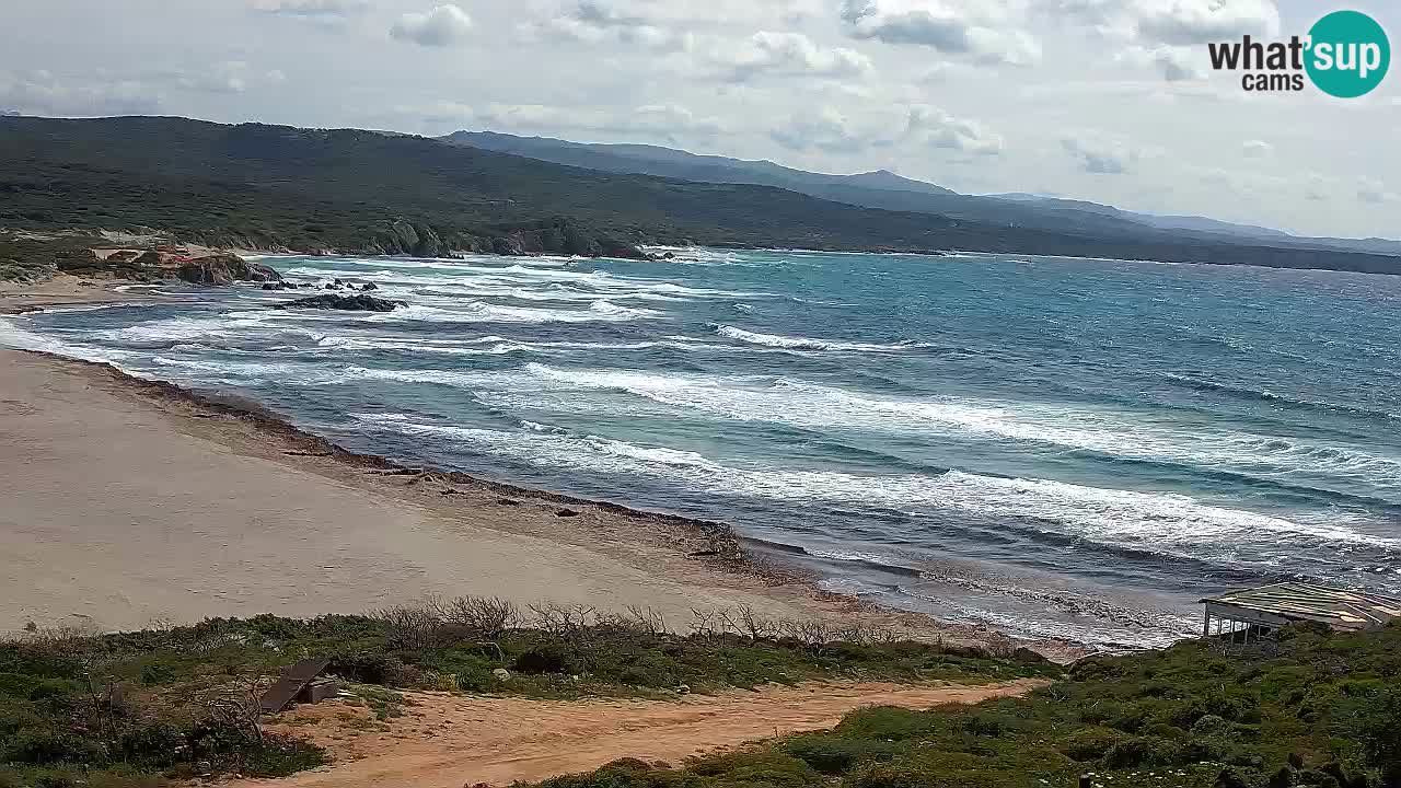 La Liccia playa webcam Rena Majore – Santa Teresa Gallura en vivo Cerdeña