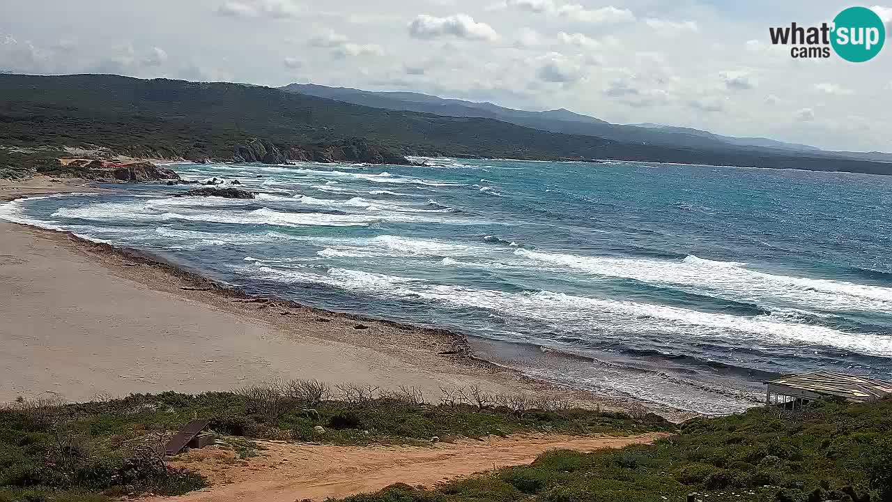 Spiaggia La Liccia webcam Rena Majore – Santa Teresa Gallura livecam Sardegna