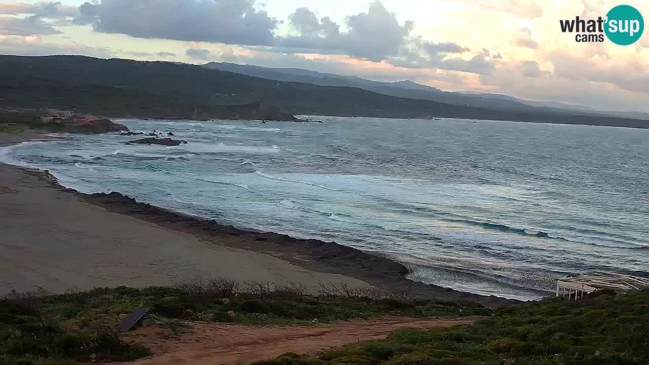 Plaža La Liccia v živo Rena Majore – Santa Teresa Gallura spletna kamera Sardinija
