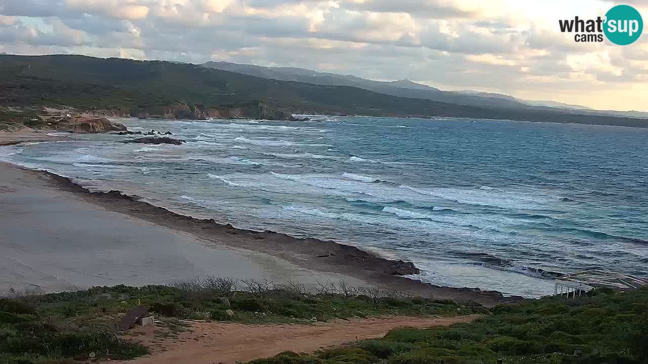 Plaža La Liccia v živo Rena Majore – Santa Teresa Gallura spletna kamera Sardinija