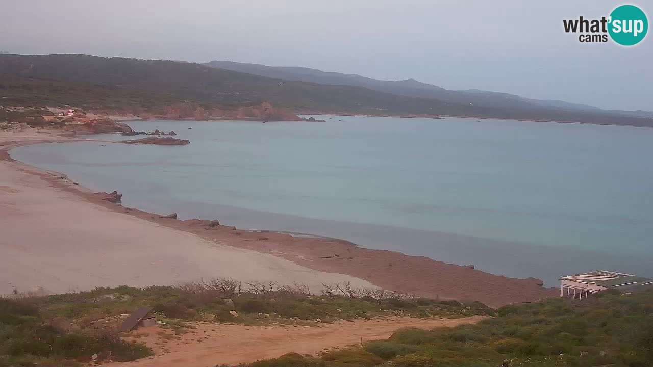 Plaža La Liccia v živo Rena Majore – Santa Teresa Gallura spletna kamera Sardinija