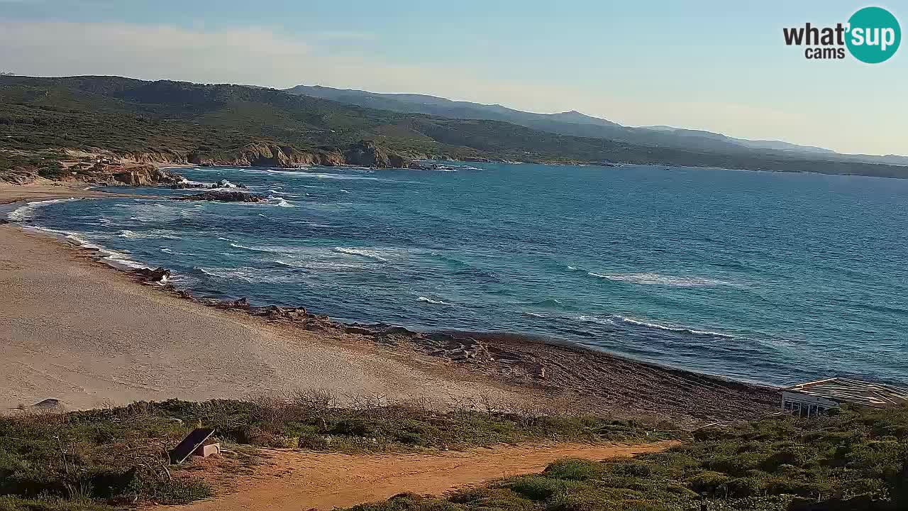 Plaža La Liccia v živo Rena Majore – Santa Teresa Gallura spletna kamera Sardinija
