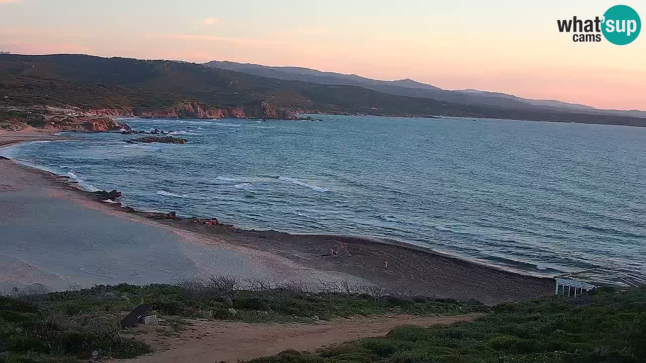 Plaža La Liccia v živo Rena Majore – Santa Teresa Gallura spletna kamera Sardinija