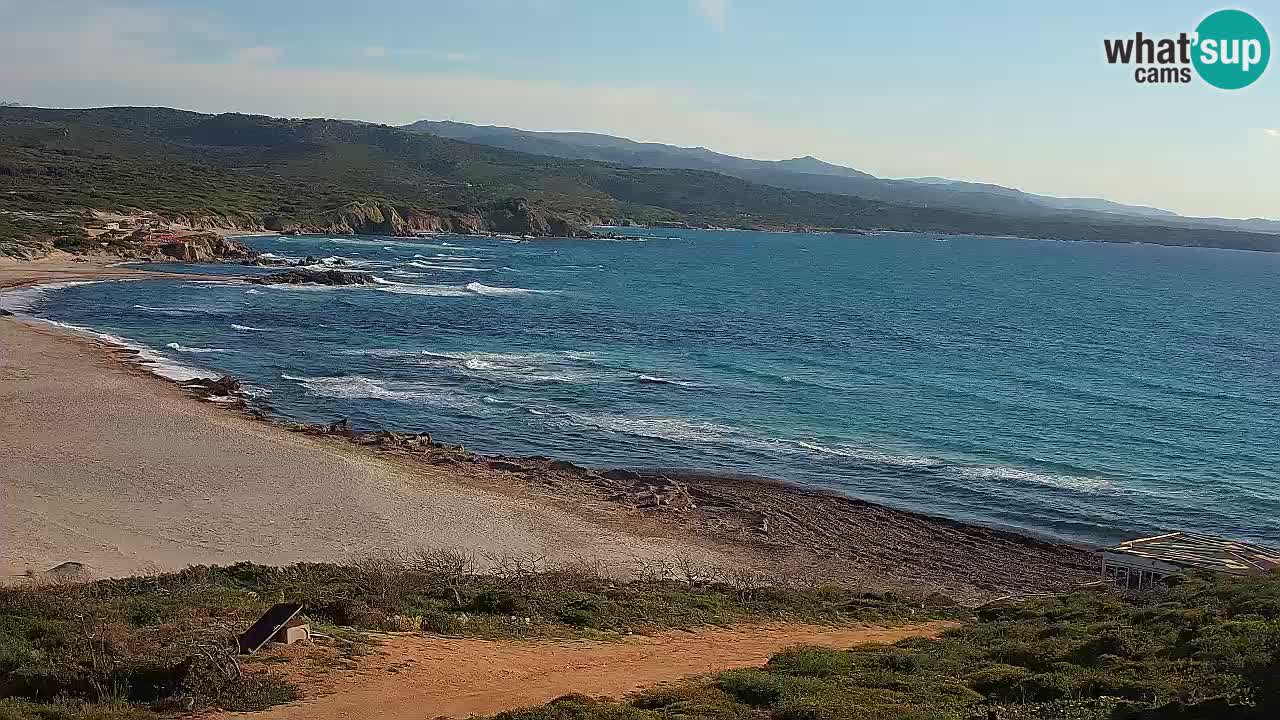 Plaža La Liccia v živo Rena Majore – Santa Teresa Gallura spletna kamera Sardinija