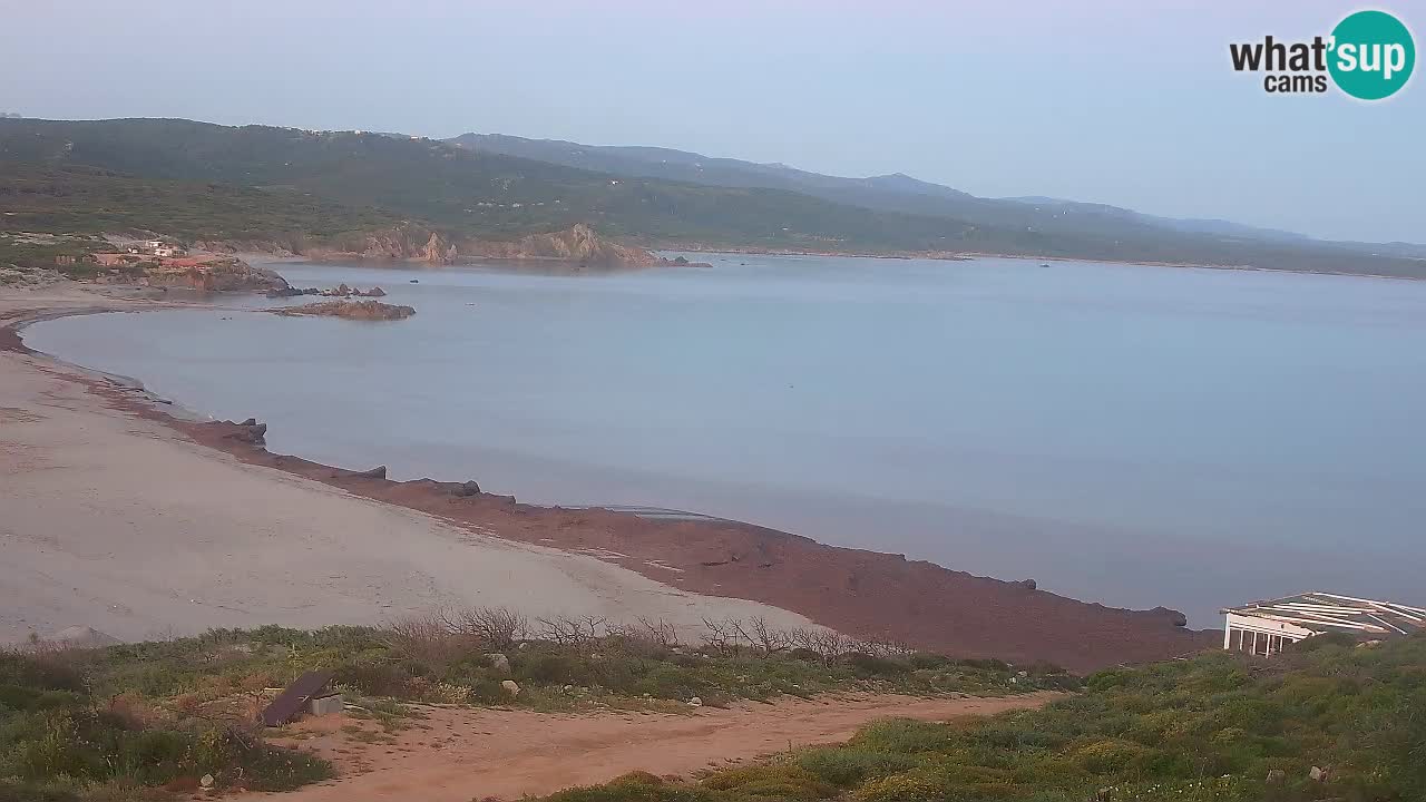 Spiaggia La Liccia webcam Rena Majore – Santa Teresa Gallura livecam Sardegna