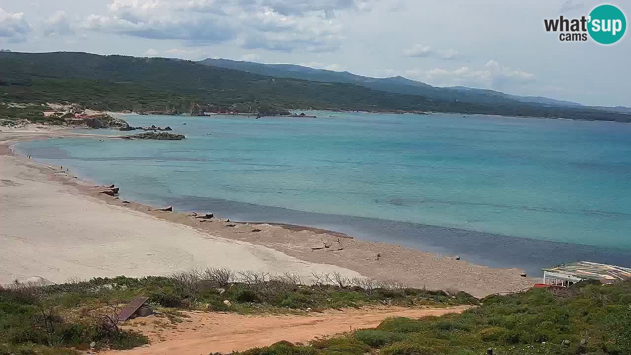 Spiaggia La Liccia webcam Rena Majore – Santa Teresa Gallura livecam Sardegna