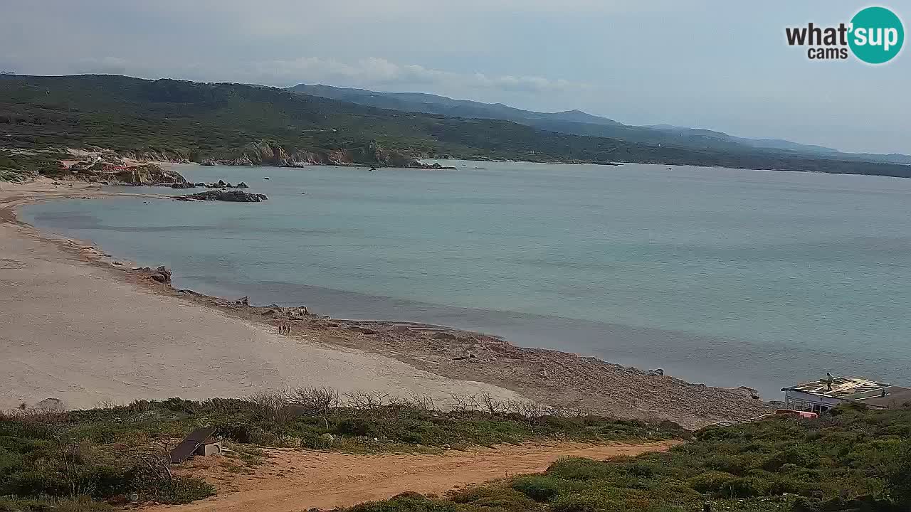 La Liccia plage livecam Rena Majore – Santa Teresa Gallura webcam Sardaigne