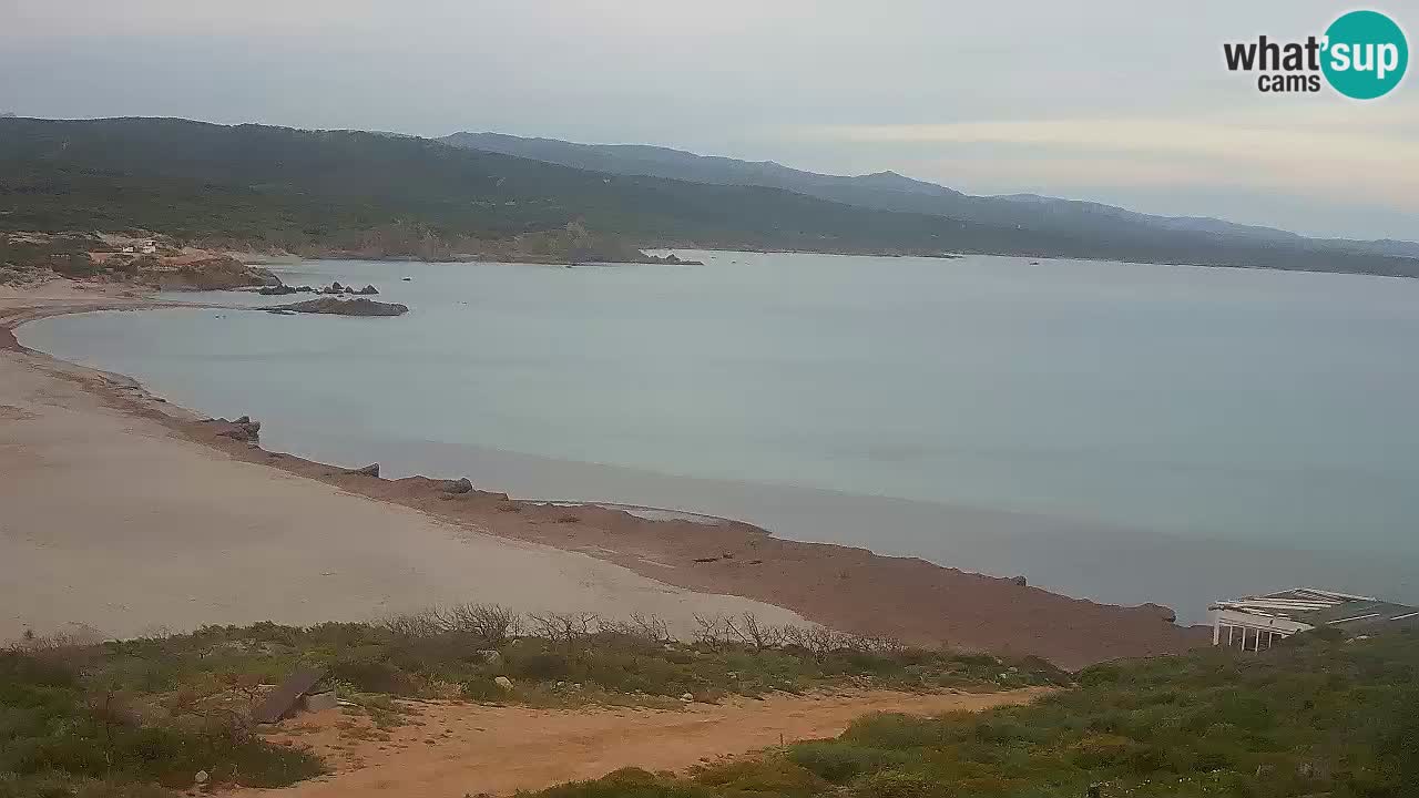 Plaža La Liccia v živo Rena Majore – Santa Teresa Gallura spletna kamera Sardinija