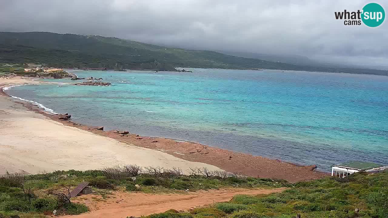 La Liccia playa webcam Rena Majore – Santa Teresa Gallura en vivo Cerdeña
