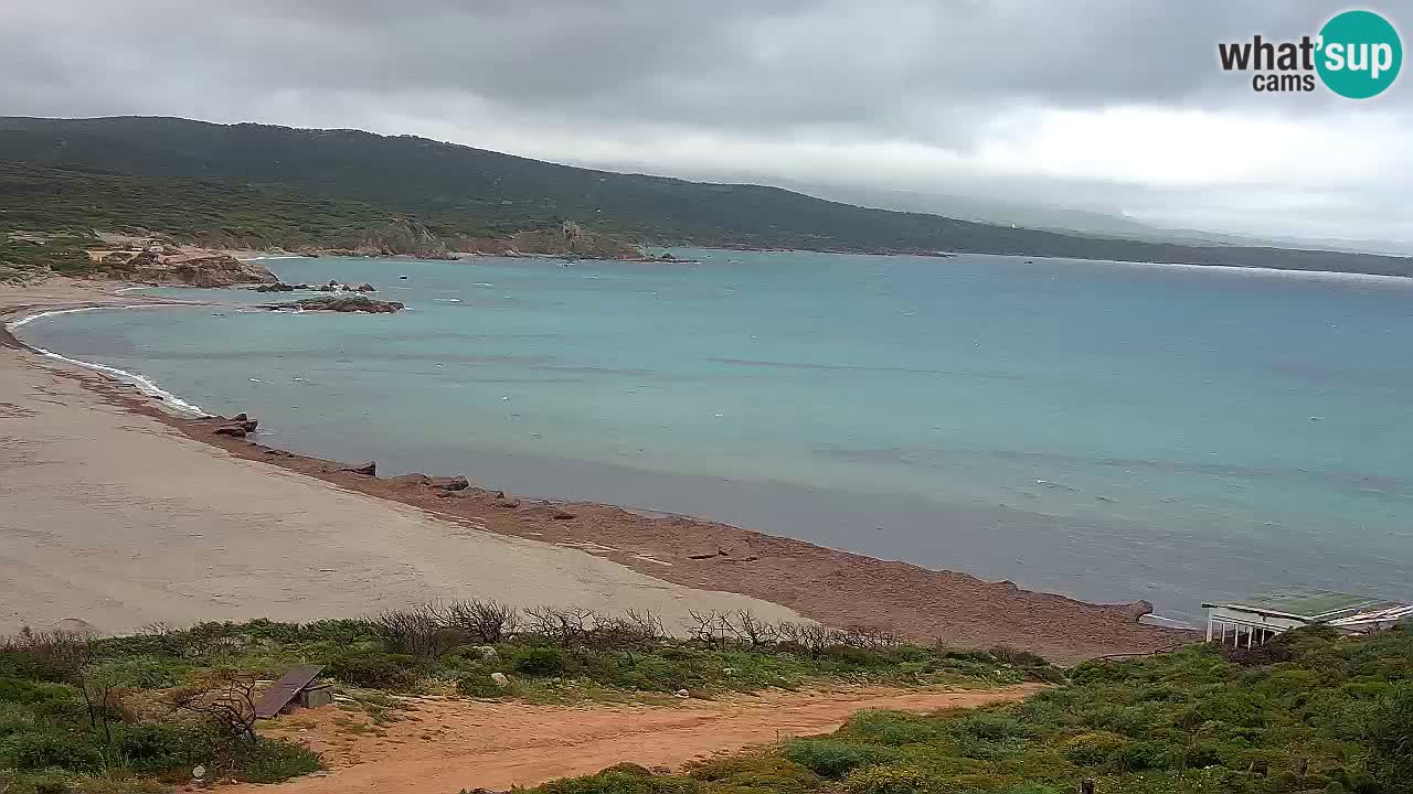 Plaža La Liccia u živo Rena Majore – Santa Teresa Gallura web kamera Sardinija