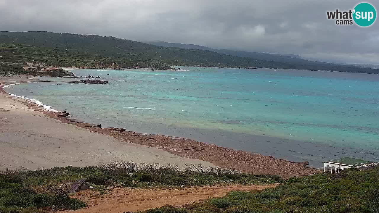 La Liccia beach webcam Rena Majore – Santa Teresa Gallura livecam Sardinia