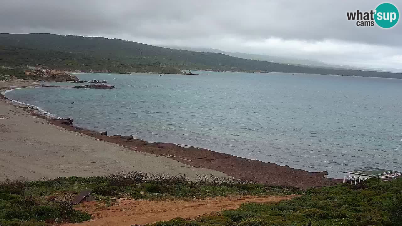 Plaža La Liccia v živo Rena Majore – Santa Teresa Gallura spletna kamera Sardinija