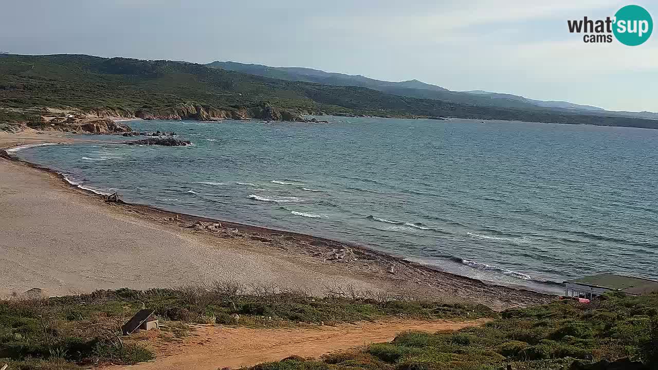 Plaža La Liccia v živo Rena Majore – Santa Teresa Gallura spletna kamera Sardinija