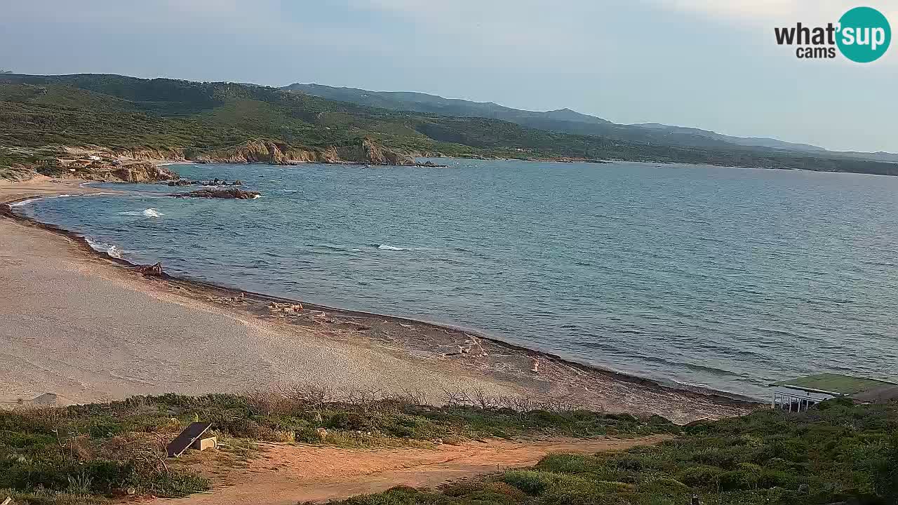 Plaža La Liccia v živo Rena Majore – Santa Teresa Gallura spletna kamera Sardinija