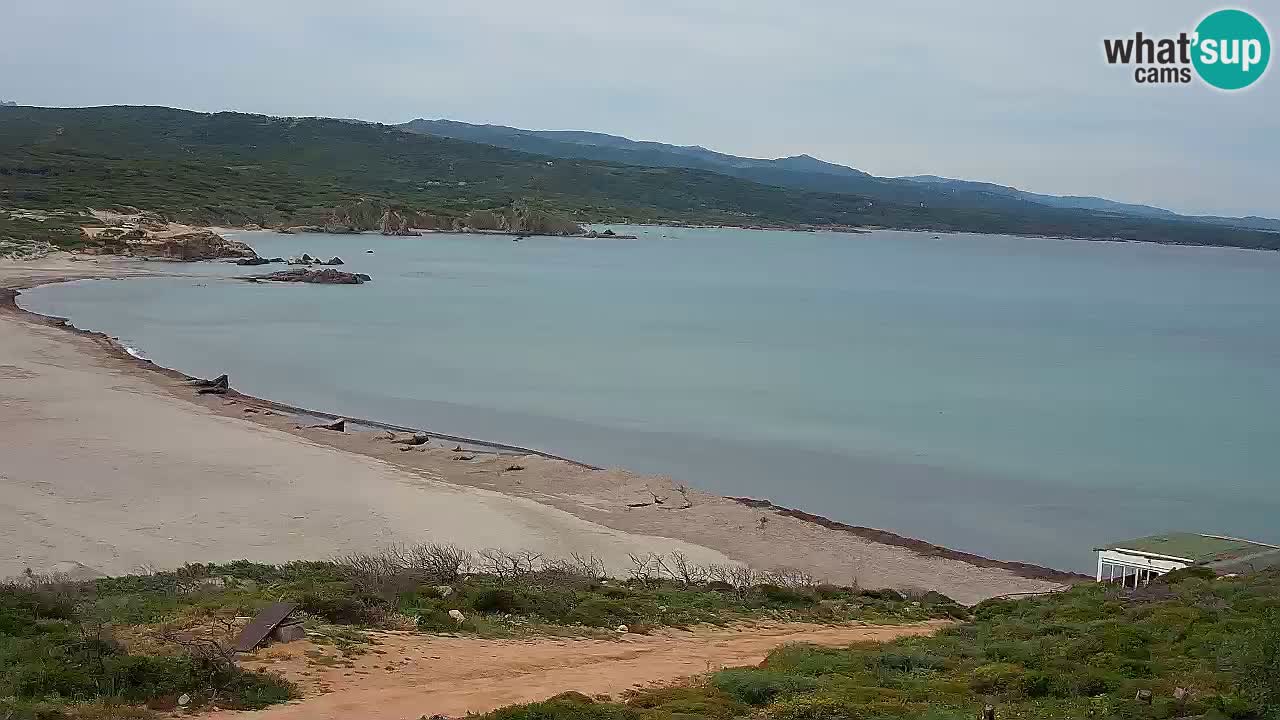 La Liccia playa webcam Rena Majore – Santa Teresa Gallura en vivo Cerdeña