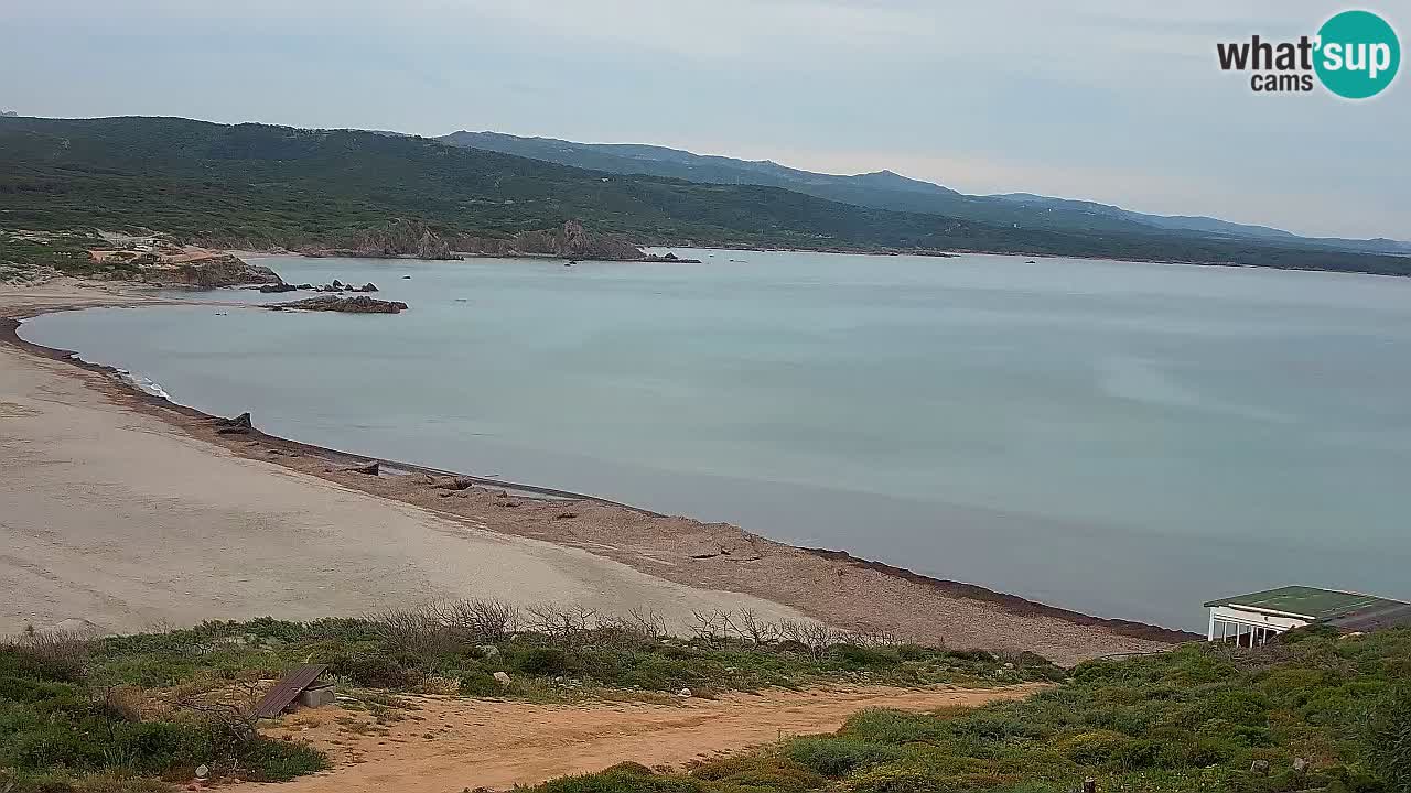 Plaža La Liccia u živo Rena Majore – Santa Teresa Gallura web kamera Sardinija