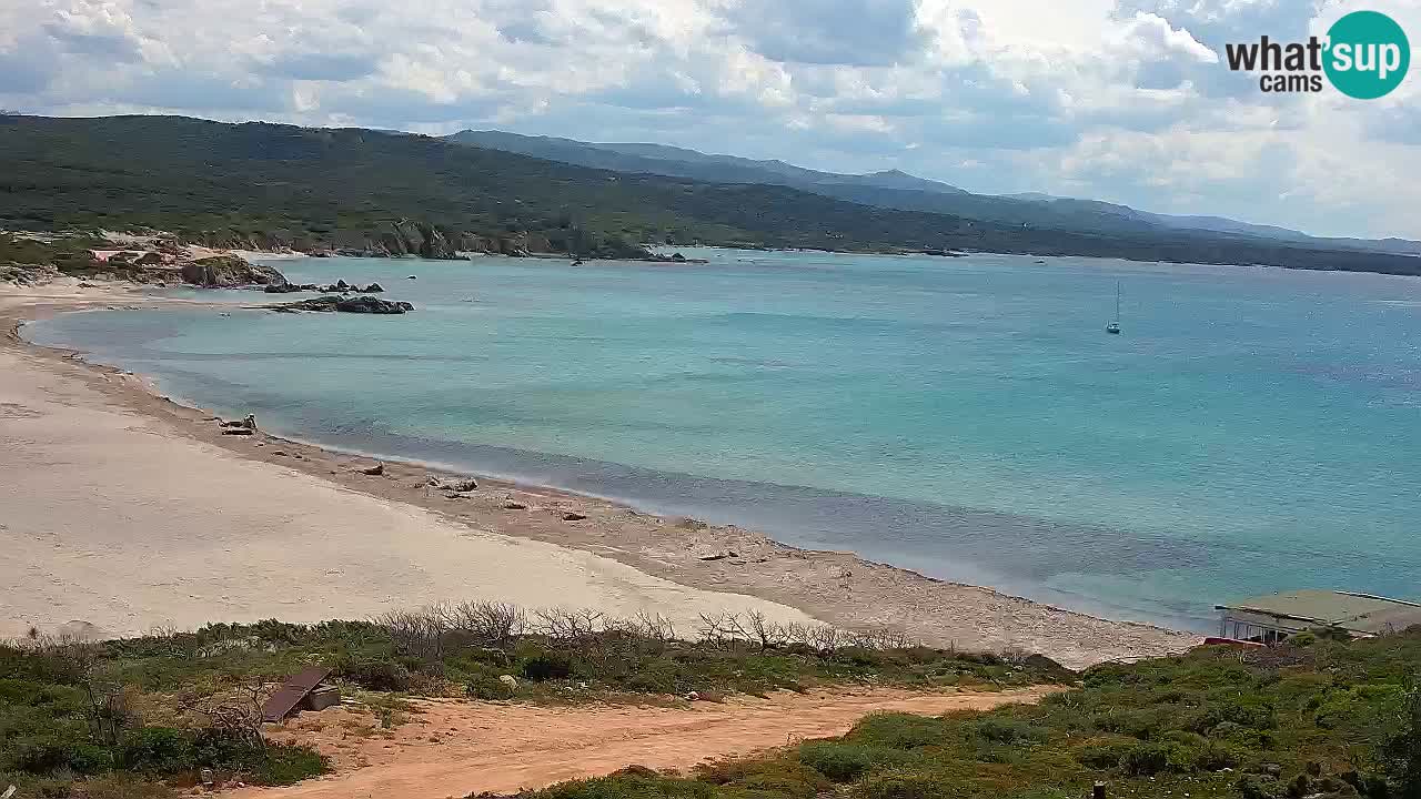 La Liccia beach webcam Rena Majore – Santa Teresa Gallura livecam Sardinia