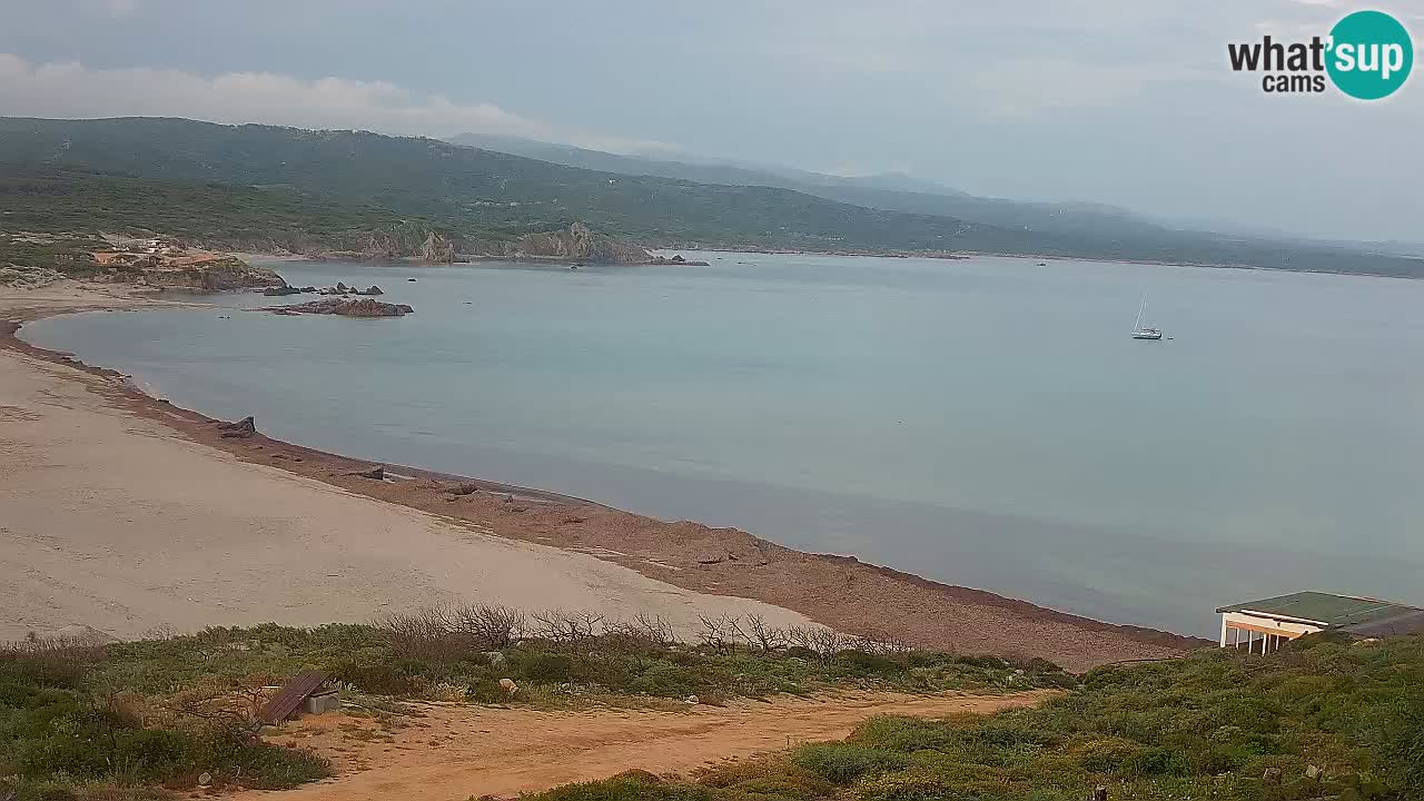 Spiaggia La Liccia webcam Rena Majore – Santa Teresa Gallura livecam Sardegna