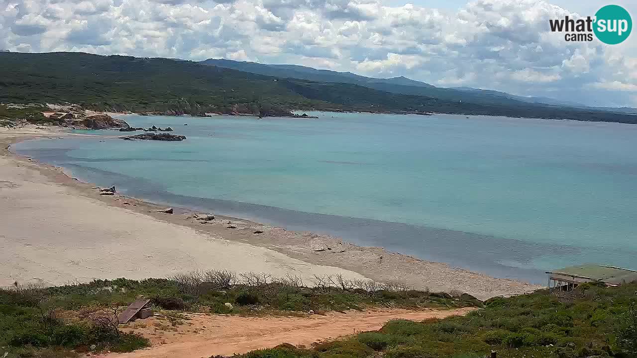 Spiaggia La Liccia webcam Rena Majore – Santa Teresa Gallura livecam Sardegna