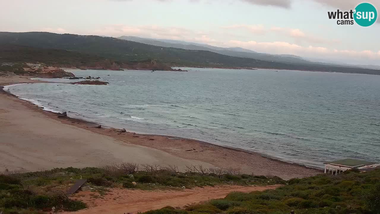 Plaža La Liccia v živo Rena Majore – Santa Teresa Gallura spletna kamera Sardinija