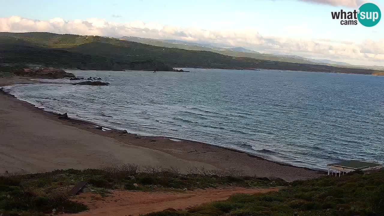 Spiaggia La Liccia webcam Rena Majore – Santa Teresa Gallura livecam Sardegna