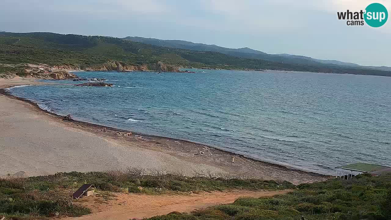Plaža La Liccia v živo Rena Majore – Santa Teresa Gallura spletna kamera Sardinija