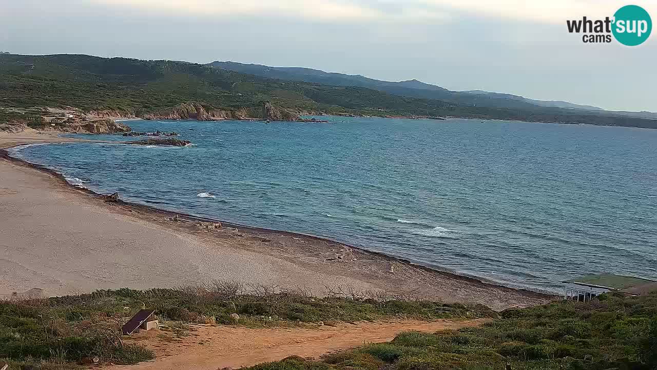Spiaggia La Liccia webcam Rena Majore – Santa Teresa Gallura livecam Sardegna
