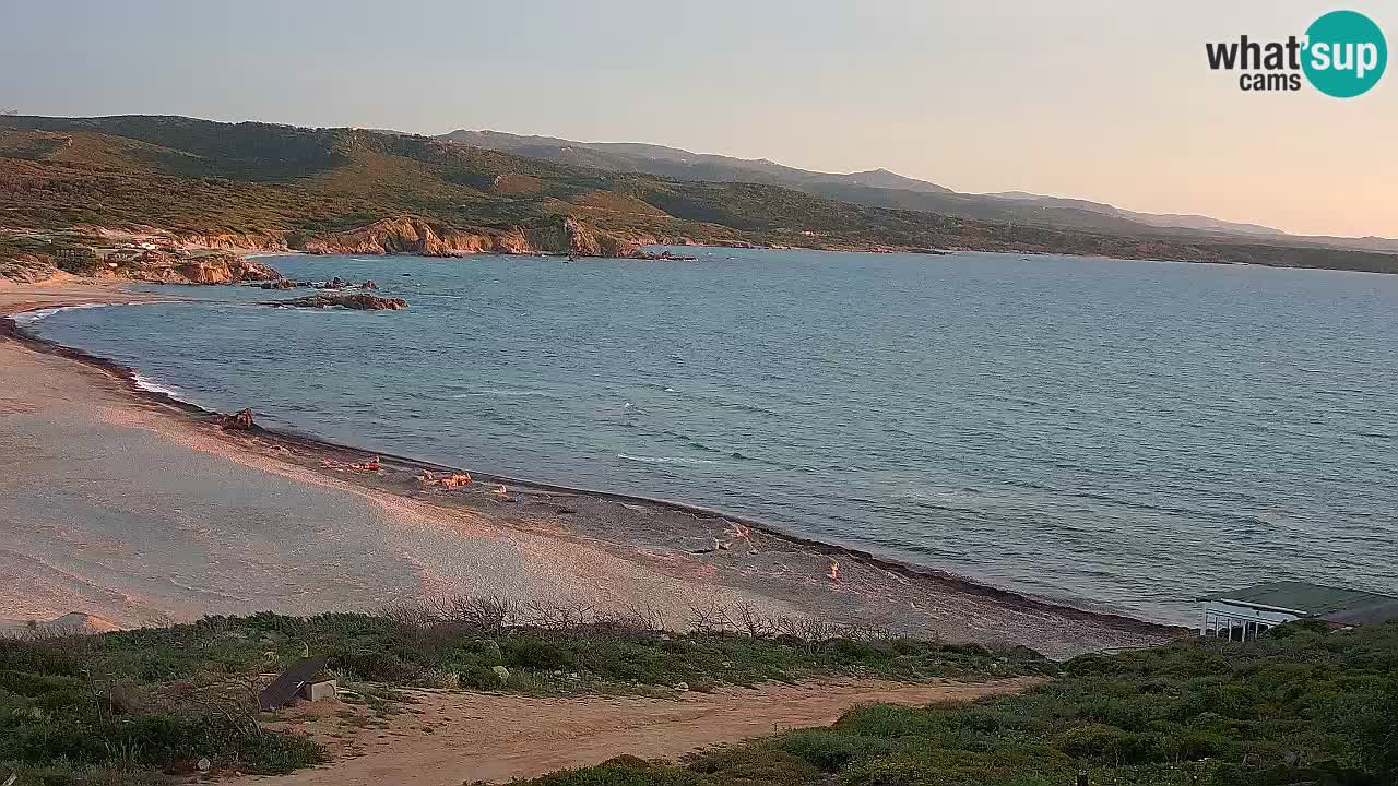 Plaža La Liccia v živo Rena Majore – Santa Teresa Gallura spletna kamera Sardinija