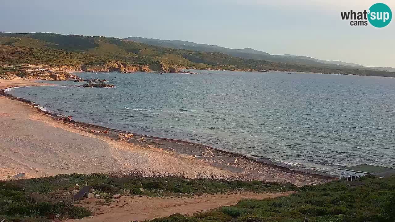 Plaža La Liccia v živo Rena Majore – Santa Teresa Gallura spletna kamera Sardinija